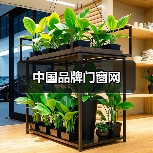 中国品牌门窗网(图2) 中国品牌门窗网(图2)