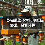 欧铂尼整体木门净醛抗菌板,轻奢环保(图4) 欧铂尼整体木门净醛抗菌板,轻奢环保(图4)