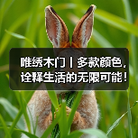 唯绣木门丨多款颜色，诠释生活的无限可能！（图4）