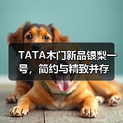TATA木门新品银梨一号，简约与精致并存（图2）