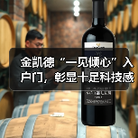 金凯德“一见倾心”入户门,彰显十足科技感与未来感(图2) 金凯德“一见倾心”入户门,彰显十足科技感与未来感(图2)