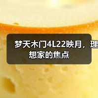 梦天木门4L22映月，理想家的焦点（图2）