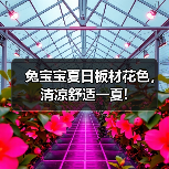兔宝宝夏日板材花色,清凉舒适一夏!(图4) 兔宝宝夏日板材花色,清凉舒适一夏!(图4)