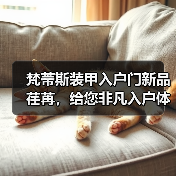 梵蒂斯装甲入户门新品荏苒,给您非凡入户体验(图2) 梵蒂斯装甲入户门新品荏苒,给您非凡入户体验(图2)