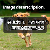开洋木门:当红极简门・满满的居家幸福感(图2) 开洋木门:当红极简门・满满的居家幸福感(图2)