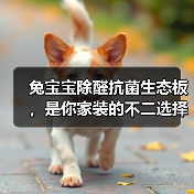 兔宝宝除醛抗菌生态板,是你家装的不二选择(图4) 兔宝宝除醛抗菌生态板,是你家装的不二选择(图4)