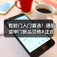 智能门入门首选！德盾装甲门新品贝格A正式上市（图1）