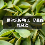 霍尔茨折叠门,尽显优雅轻盈(图1) 霍尔茨折叠门,尽显优雅轻盈(图1)