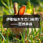伊歌铝木生态门幽灵门——震撼来袭（图1）