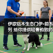伊歌铝木生态门伊·韵系列 给你提供轻奢韵致的空间(图2) 伊歌铝木生态门伊·韵系列 给你提供轻奢韵致的空间(图2)