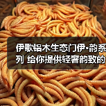 伊歌铝木生态门伊·韵系列 给你提供轻奢韵致的空间(图4) 伊歌铝木生态门伊·韵系列 给你提供轻奢韵致的空间(图4)