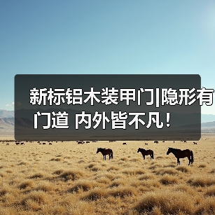 新标铝木装甲门|隐形有门道 内外皆不凡！（图2）