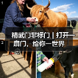 精武门非标门 | 打开一扇门,给你一世界(图3) 精武门非标门 | 打开一扇门,给你一世界(图3)