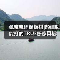 兔宝宝环保板材|颜值超能打的TRUE感家具板(图4) 兔宝宝环保板材|颜值超能打的TRUE感家具板(图4)