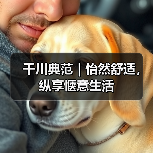 千川典范｜怡然舒适，纵享惬意生活（图2）