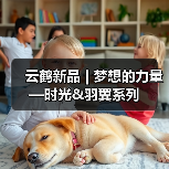 云鹤新品 | 梦想的力量—时光&羽翼系列（图3）