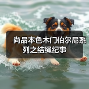 尚品本色木门伯尔尼系列之结绳纪事（图2）