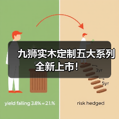 九狮实木定制五大系列 全新上市！（图2）