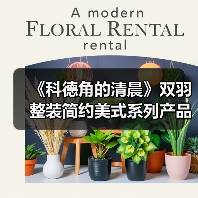 《科德角的清晨》双羽整装简约美式系列产品(图3) 《科德角的清晨》双羽整装简约美式系列产品(图3)