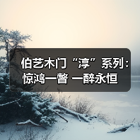 伯艺木门“淳”系列：惊鸿一瞥 一醉永恒（图3）