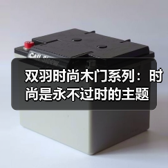双羽时尚木门系列：时尚是永不过时的主题（图3）