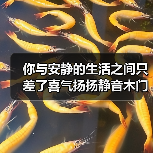 你与安静的生活之间只差了喜气扬扬静音木门(图3) 你与安静的生活之间只差了喜气扬扬静音木门(图3)