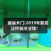 爱巢木门|2019年新房这样装准没错!(图3) 爱巢木门|2019年新房这样装准没错!(图3)