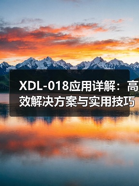 XDL-018应用详解：高效解决方案与实用技巧（图3）