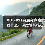 XDL-091背后究竟隐藏着什么？深度解析核心价值（图1）