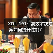 XDL-191：高效解决方案如何提升性能？（图2）