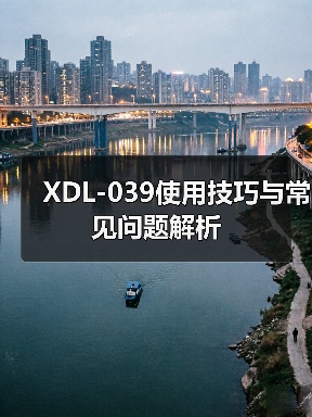XDL-039使用技巧与常见问题解析（图3）
