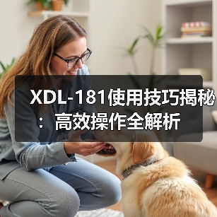 XDL-181使用技巧揭秘：高效操作全解析（图1）