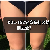 XDL-192究竟有什么特别之处？（图2）