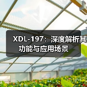 XDL-197：深度解析其功能与应用场景（图1）