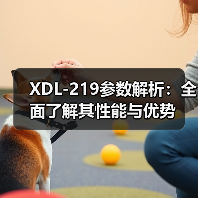 XDL-219参数解析：全面了解其性能与优势（图2）