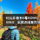 帕瓦多橡木6号XDMQ-8060：家居选择是否值得？（图2）