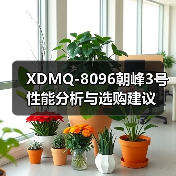 XDMQ-8096朝峰3号性能分析与选购建议（图3）