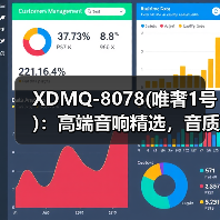 XDMQ-8078(唯奢1号)：高端音响精选，音质非凡（图4）