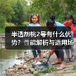 半透胡桃2号有什么优势？性能解析与适用场景（图2）