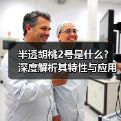 半透胡桃2号是什么？深度解析其特性与应用（图3）