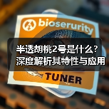 半透胡桃2号是什么？深度解析其特性与应用（图4）