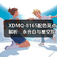 XDMQ-8165配色亮点解析：永合白与星空灰的搭配艺术（图2）