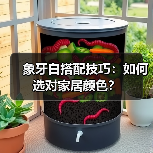 象牙白搭配技巧：如何选对家居颜色？（图2）