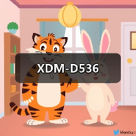 XDM-D536（图4）