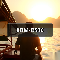 XDM-D536（图2）
