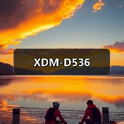 XDM-D536（图1）