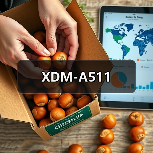 XDM-A511（图3）