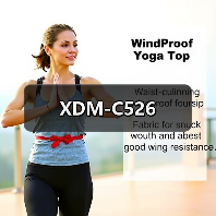 XDM-C526（图4）