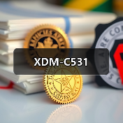 XDM-C531（图2）