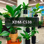 XDM-C538（图4）
